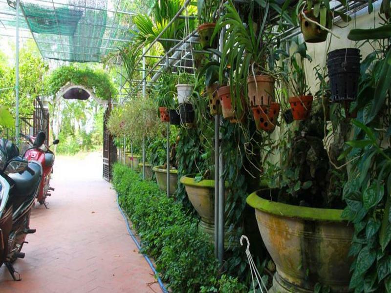 Leaf Homestay Хойан Экстерьер фото
